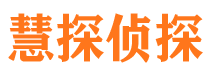 鲁甸侦探公司